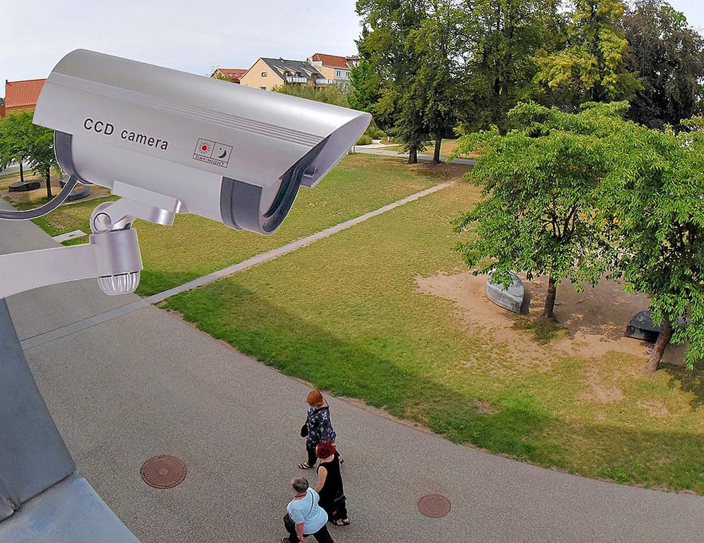 Ob die Parks der Stadt kameraüberwacht werden sollen, wird immer wieder diskutiert.