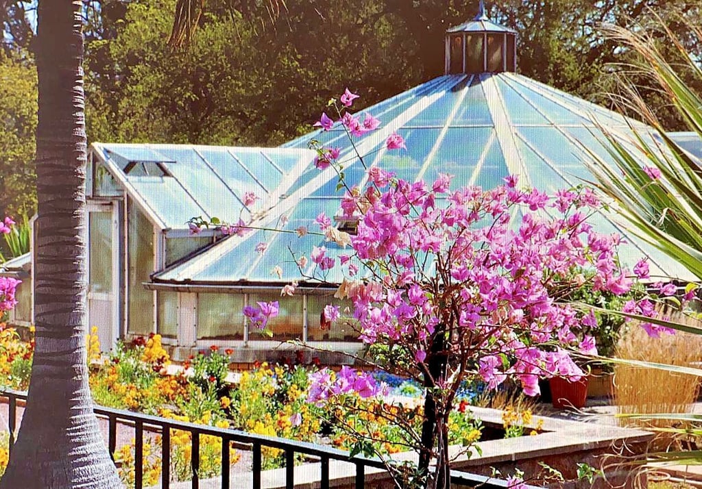 Am 1. Mai öffnet der botanische Garten wieder seine Tore. Ein Besuch lohnt sich, auch wenn die Gewächshäuser geschlossen bleiben müssen.