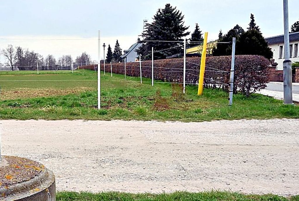 Der Riebeckberg