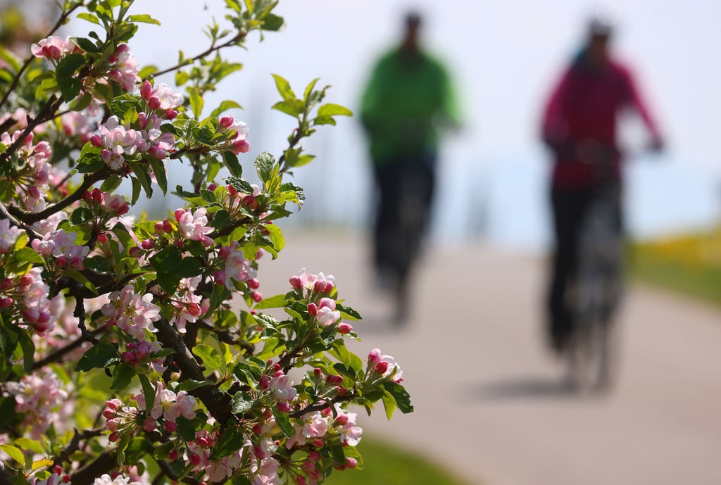 Radfahrer unterwegs