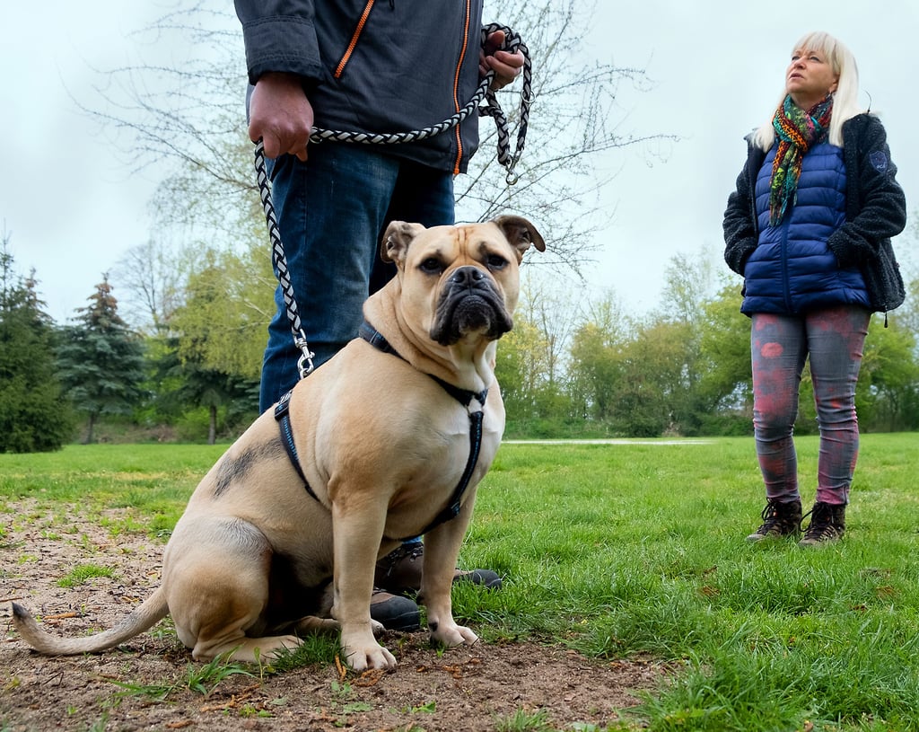 Übungsstunde mit Hund Günther samt Herrchen: Im Training bespricht Carola Schulze die Alltagsprobleme der Hundebesitzer.
