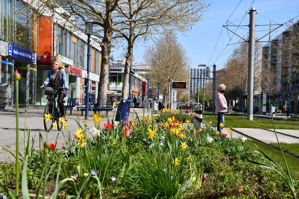 Der Nordabschnitt des Breiten Wegs war Thema im Stadtrat Magdeburg.