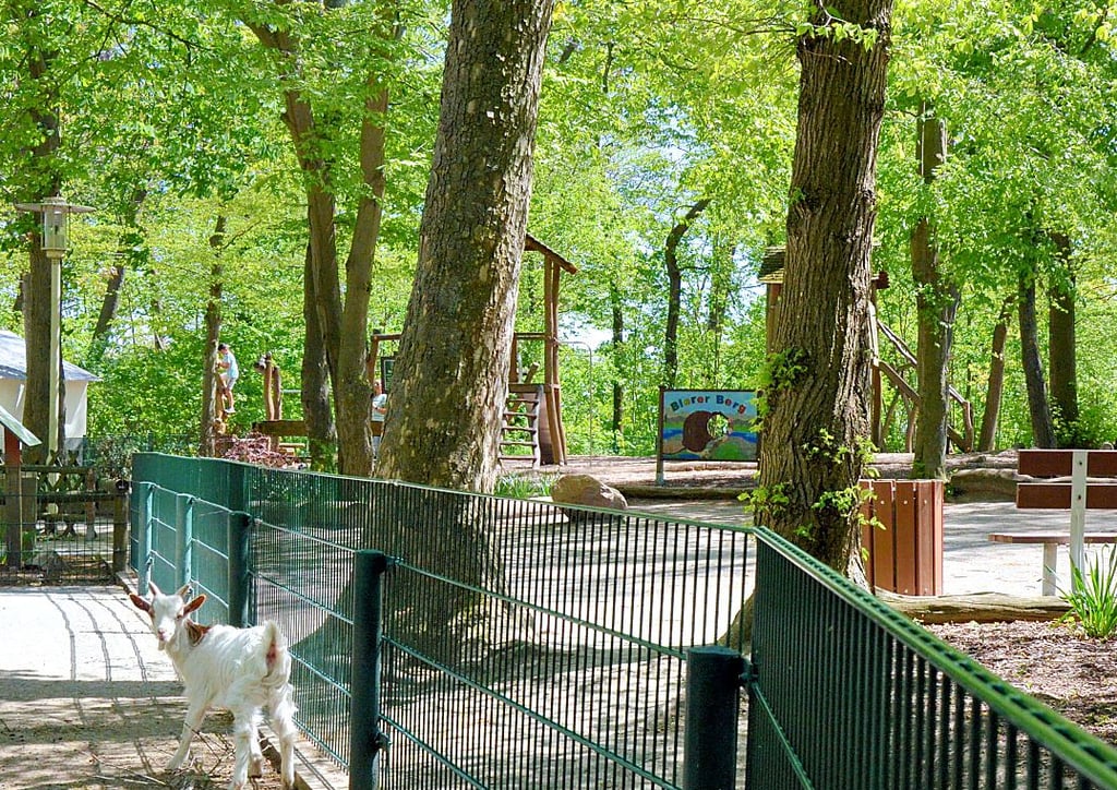 TDie Tiere auf dem Bierer Berg hatten am Wochenende nicht viel zu tun. Kaum Besucher kamen.