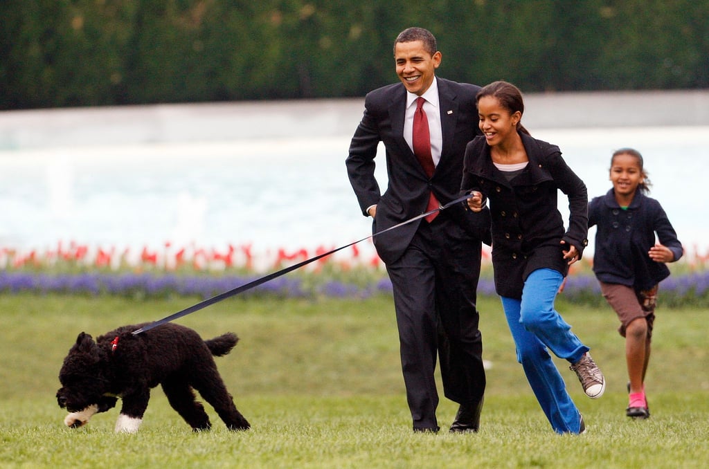 Malia Obama 2009 mit Familienhund Bo, gefolgt von damaliger US-Präsident Barack Obama und Sasha Obama.