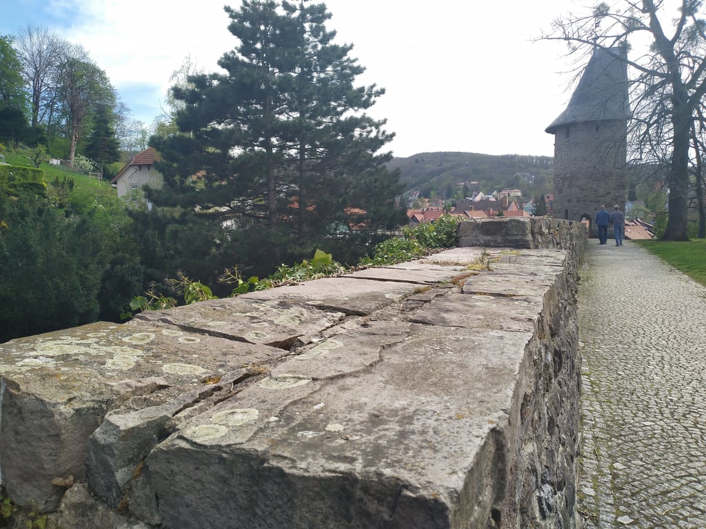 Wernigerodes Stadtmauer ist ein beliebtes Ziel für Spaziergänger und Touristen. Unbekannte hatten die Mauerkrone mit Kot beschmiert.