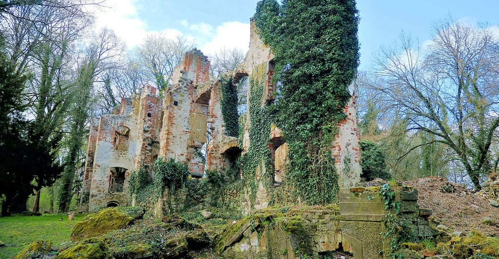Die Kosten für Schlossruine in Tylsen ist vielen Salzwedelern ein Dorn im Auge.