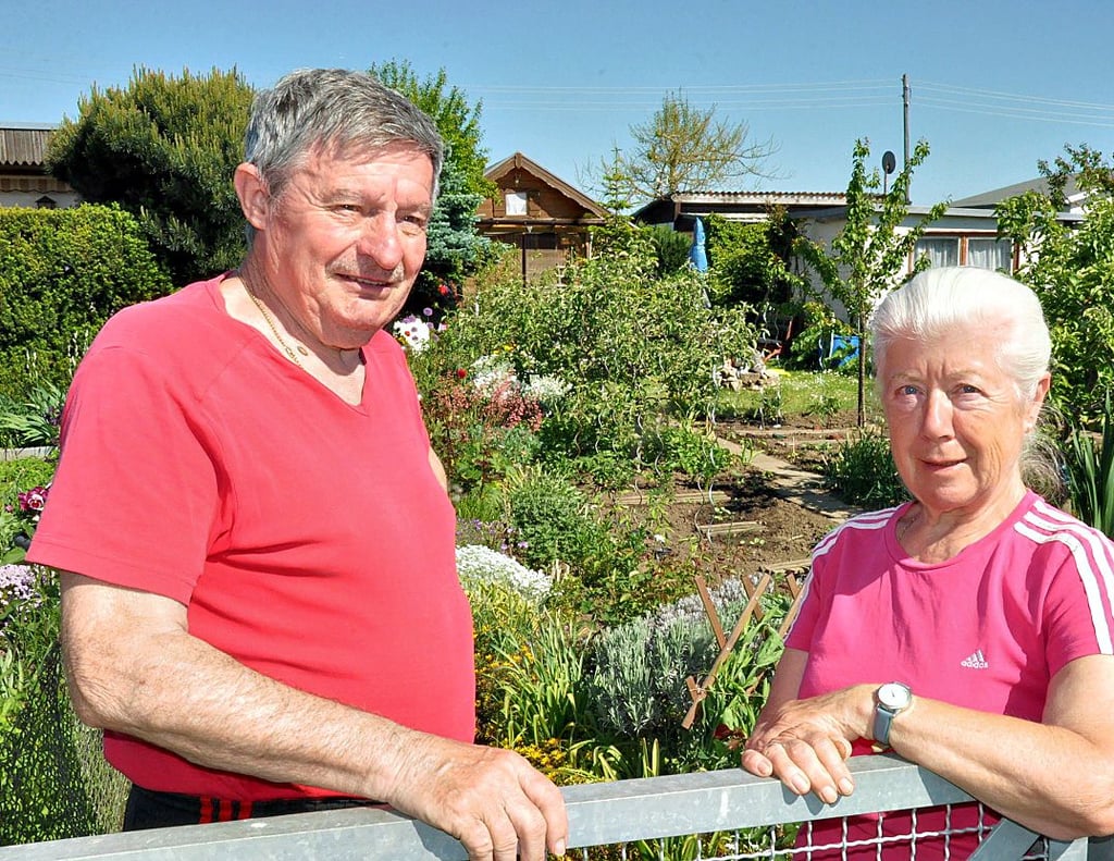 Rainer und Hildegard Koch pflegen eine 100-jährige Familientradition. „Ich liebe den Garten", gesteht die Frau des Handball-Urgesteins.