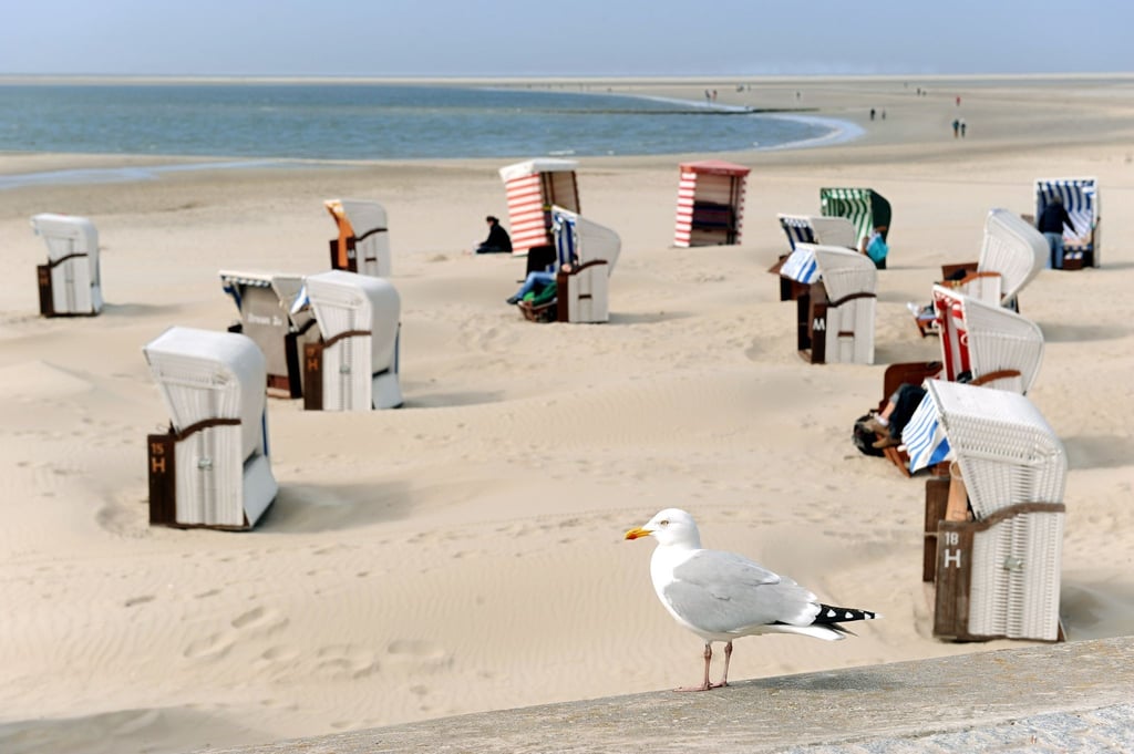 Nahziele liegen in Corona-Zeiten im Trend: Die Strandkörbe auf Borkum warten auf mehr Urlauber.