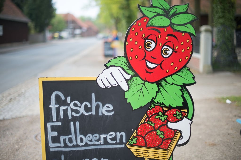 Ein Hinweisschild auf frische Erdbeeren steht vor einem Hofladen.