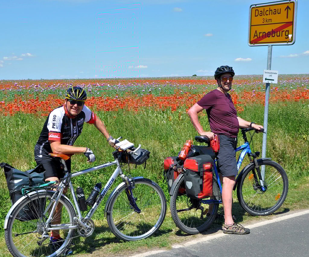 Radtouristen legen zurzeit gern einen Fotostopp am lila-roten Mohnfeld in Arneburg ein. So wie die Körber-Brüder aus Nürnberg, die gerade den Elberadweg Richtung Hamburg befahren.