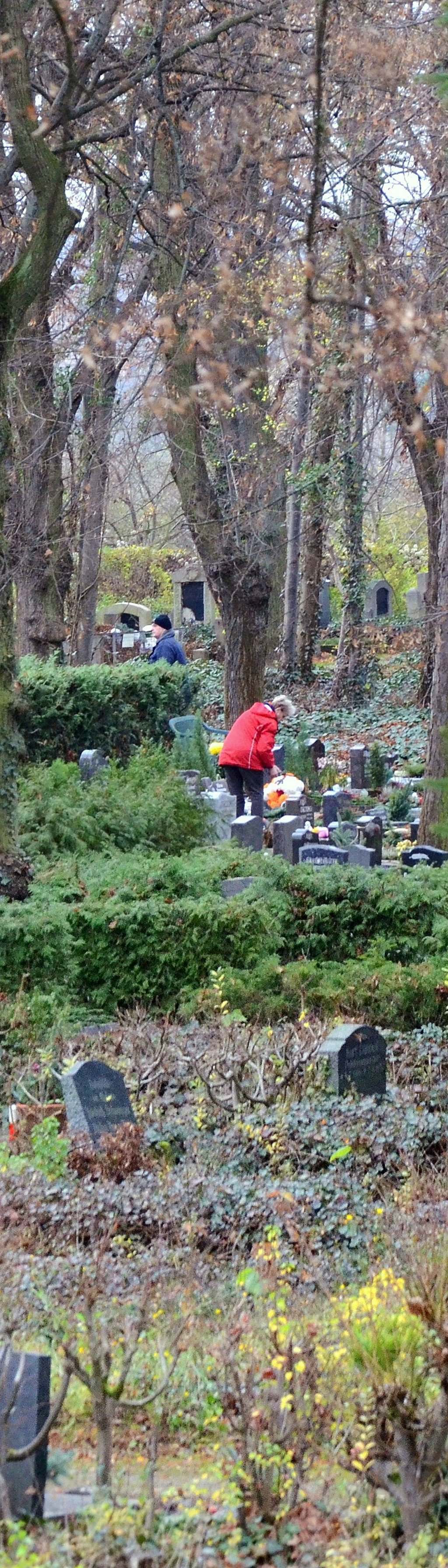 Auf Staßfurts Friedhöfen, hier Hecklinger Straße, könnte man sparen, wenn die Bestatter die Urnengruften in Zukunft selbst ausheben würden.