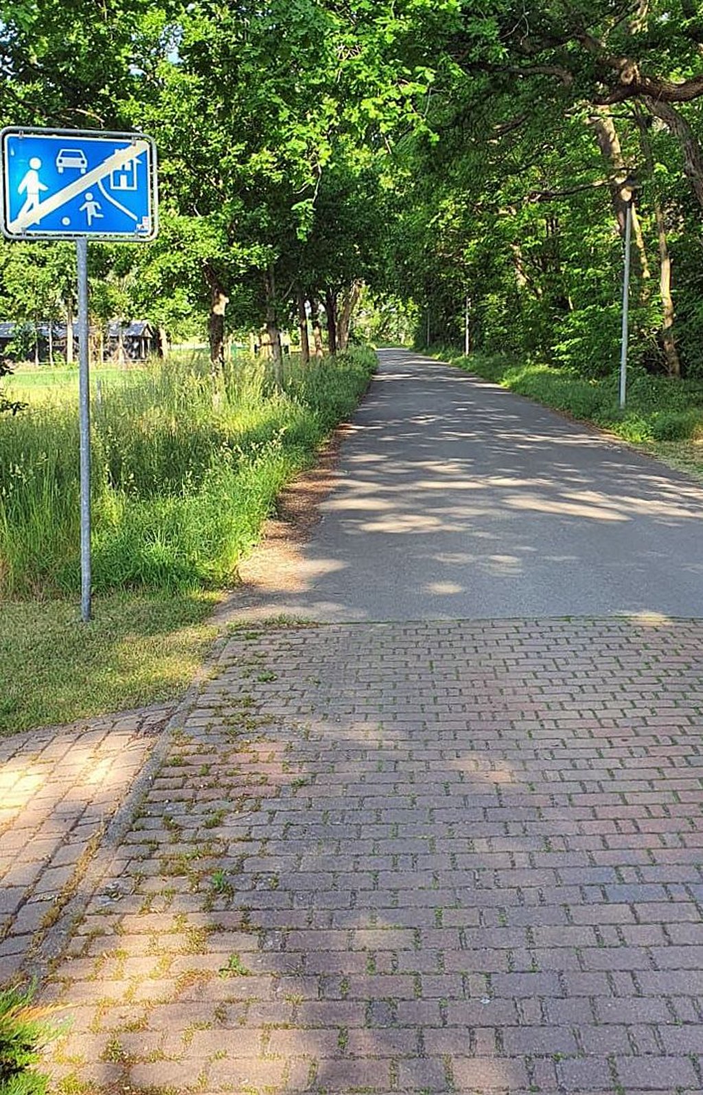 Am Ende der Spielstraßenbereichs in der Parkstraße ging oft das Rasen los, dahinter kommen aber noch ein Wohngebiet und die Zufahrt zum Wildpark.