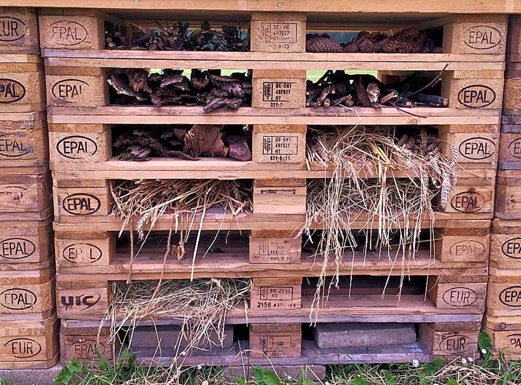Europaletten, mit Zapfen, Blättern und Stroh ausgelegt, sollen Insekten als Unterschlupf dienen.