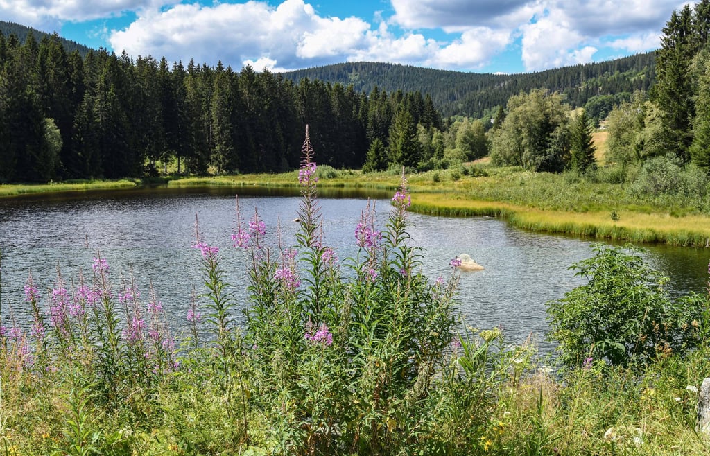 Badebucht am Auslauf des Schluchsees im Schwarzwald.