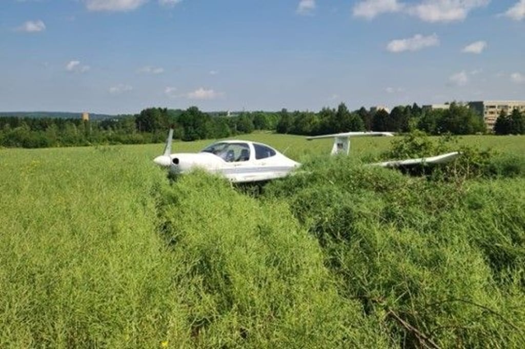 Das Kleinflugzeug landete schließlich im Rapsfeld.