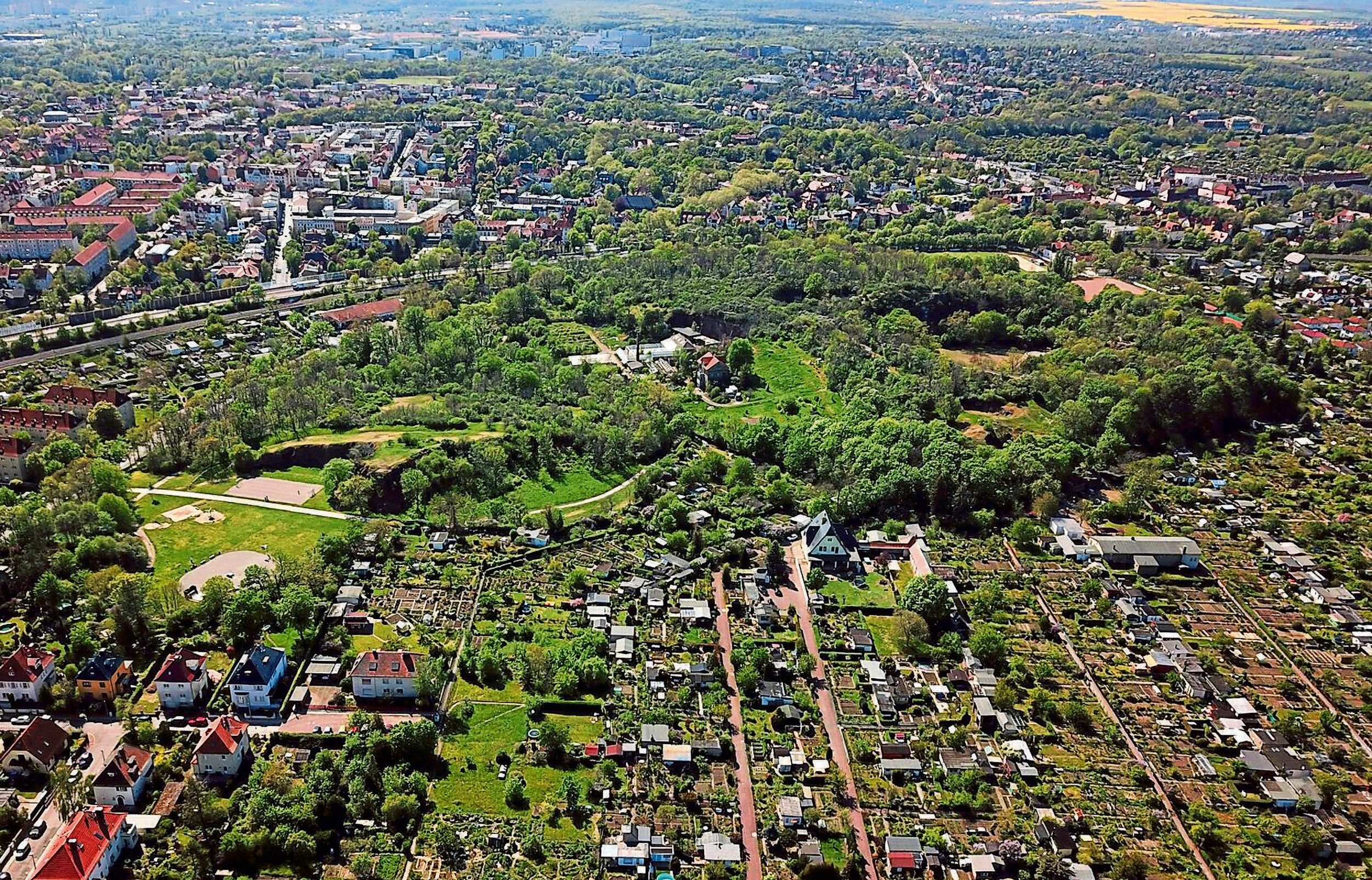 Wo zehn gehängt wurden eine Wanderung am Galgenberg in Halle