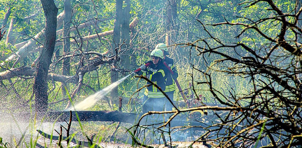Waldbrand zwischen Bleddin und Bösewig