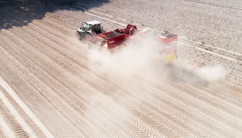 Ein Landwirt erntet Kartoffeln auf einem staubtrockenen Feld in der Region Hannover (2020).