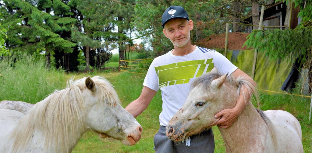 Mario Metze mit zwei seiner Shetland-Ponys auf der Weide