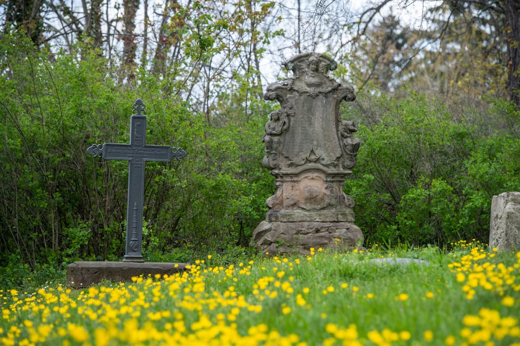 Grabmäler auf einem Friedhof (Symbolbild).