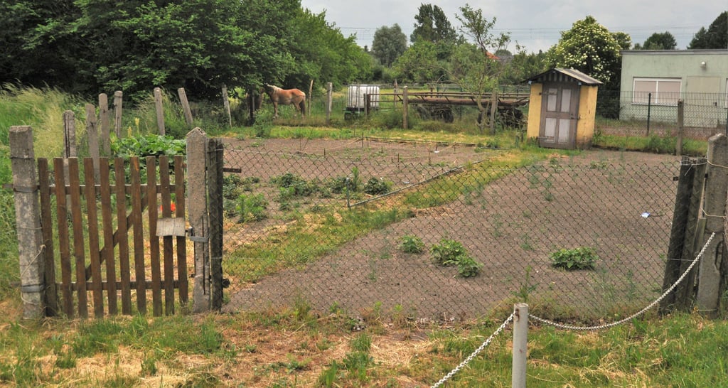 Dieses Gartengelände hat der Verein jüngst dazuerworben. Hier soll einmal eine Freiflugvoliere entstehen.