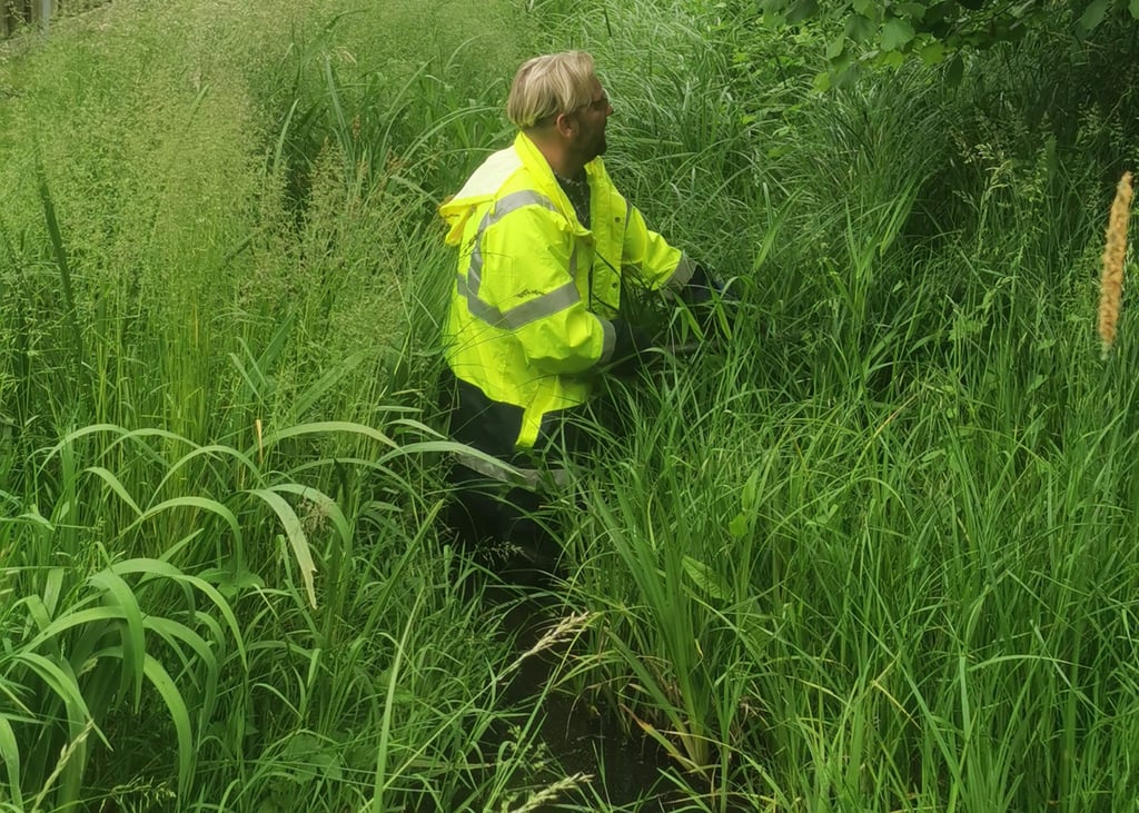 Dirk Sakuth, Mitarbeiter des Unterhaltungsverbandes Jeetze, zeigt im Grabensystem an der Reimannstraße die Probleme auf.