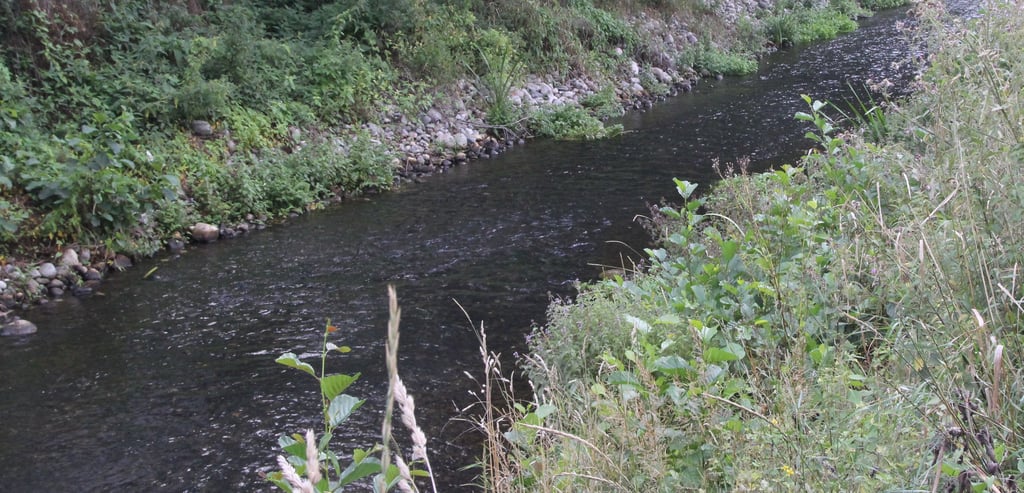 Renaturierung statt Rückbau ist aktuell beim Landesbetrieb für Hochwasserschutz und Wasserwirtschaft angesagt. Die Nuthe hat davon bereits profitiert.