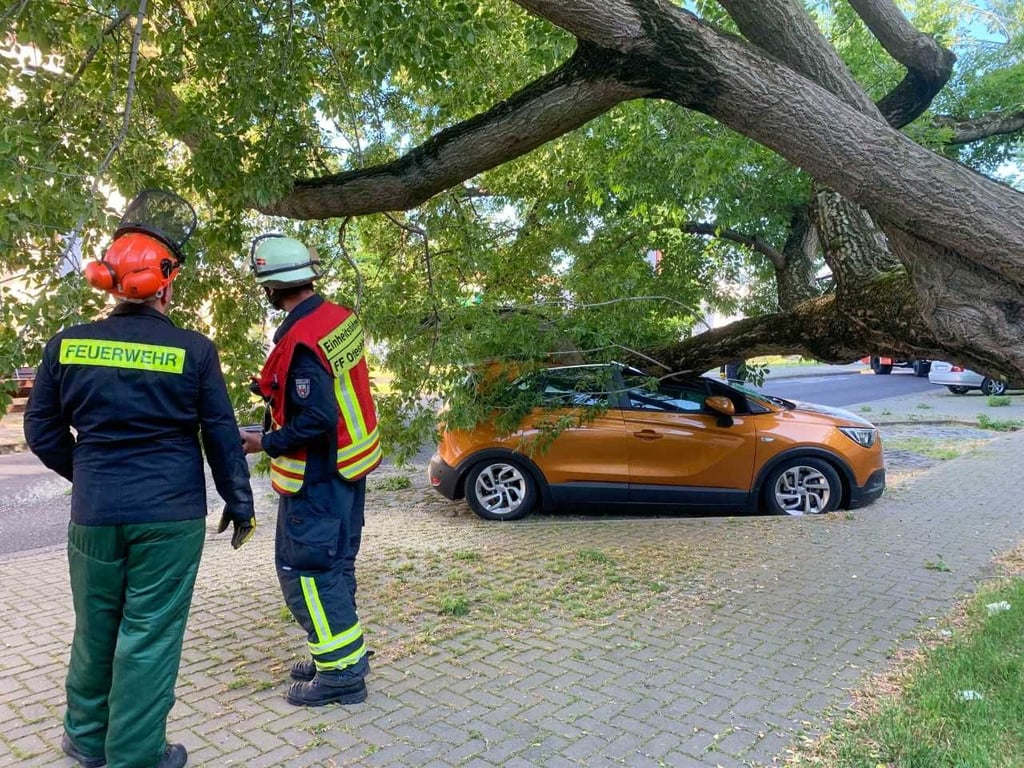 Einsatzkräfte der Feuerwehr waren vor Ort.