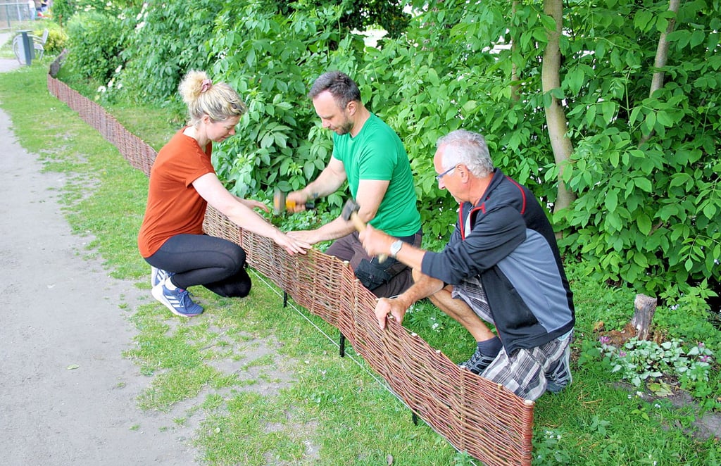 Fördervereinsvorstände Antje Siegel-Reinhardt, Raik Ohlmeyer und Detlef Raasch (v. l. n. r.) montieren Weidenzaunelemente im Tierpark.