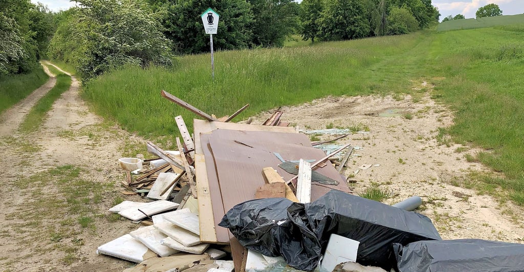 Dreist: Direkt am Eingang zum Naturschutzgebiet Heideteiche bei Meineweh wurde illegal Müll entsorgt.