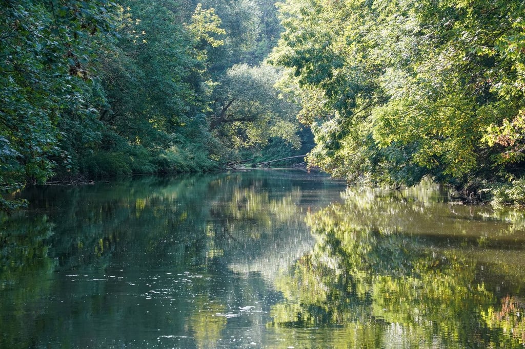 Der Fluss Weiße Elster im Leipziger Auwald bei Großzschocher.