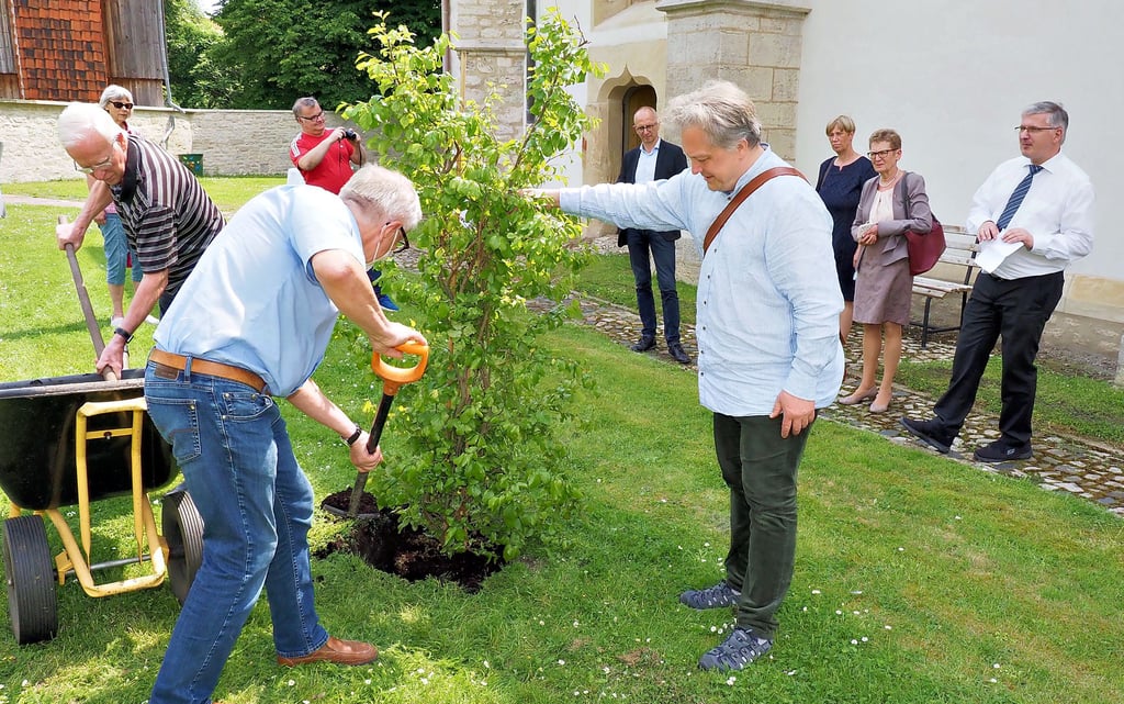 Auf der Wiese hinter der Stephanikirche pflanzten die Beteiligten einen Eisenholzbaum. Ein Ziergehöz, das eine Höhe bis zu zehn Meter erreichen kann und dauerhaft an das Projekt erinnern soll.