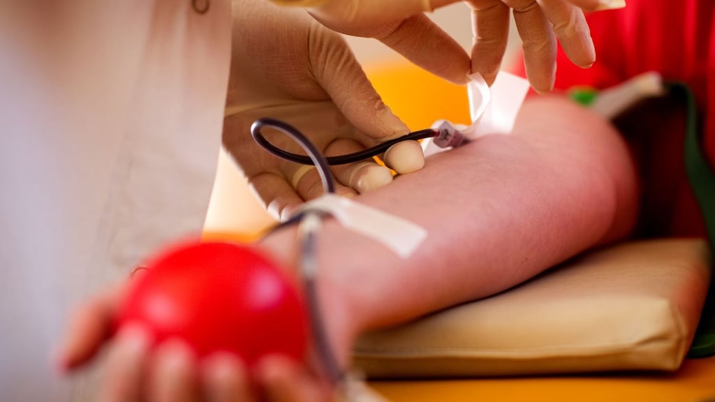 Werden bald Hürden fallen, die es homo- und bisexuellen Männern bislang erschwerten Blut zu spenden?&nbsp;