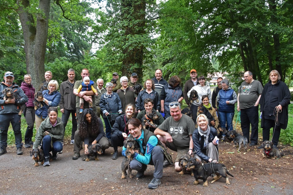 35 Mitglieder und Freunde der Gruppe Letzlinger Heide des Deutschen Teckelklubs 1888 haben den Ehrentag des Hundes genutzt, um bei einem Spaziergang mit ihren vierbeinigen Lieblingen durch den Wald bei Emden die Freundschaft zu genießen.