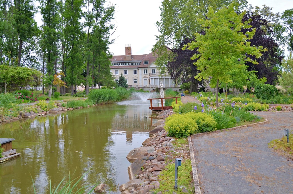 Der Park am Schloss Bahrendorf könnte für die Patienten mit psychosomatischen Beschwerden eine Zone der Ruhe und Entspannung sein.