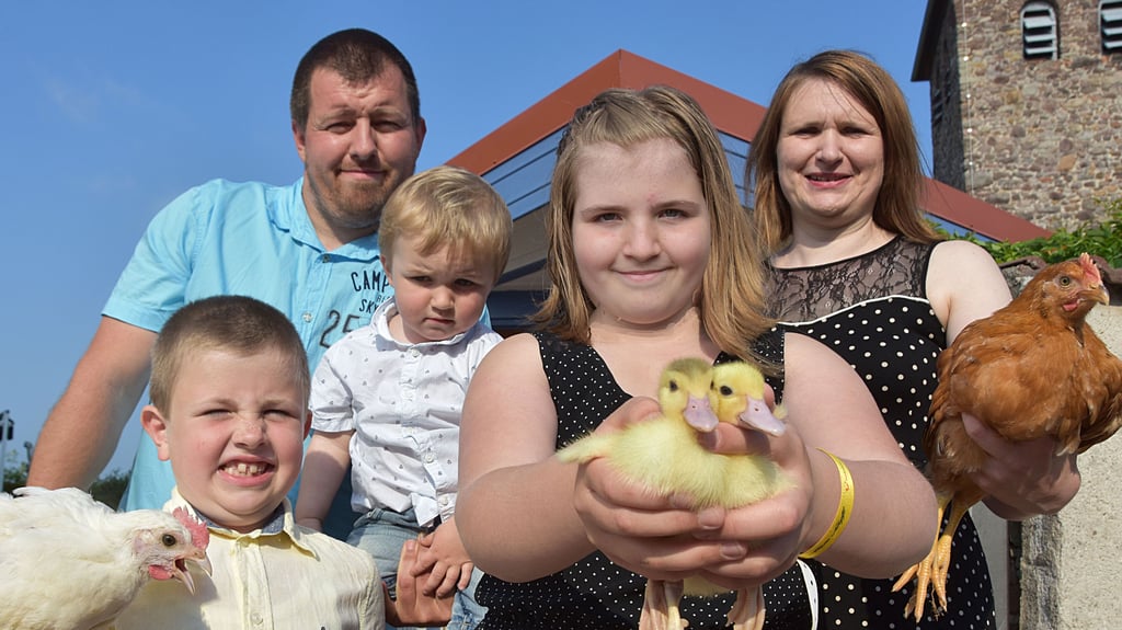 Hühner und Enten sind nur ein Teil des Tierbestandes auf dem Bauernhof der Familie Sue in Eickendorf. Es gibt dort auch noch Schafe, Gänse, Schweine, Hunde und einen Kater.