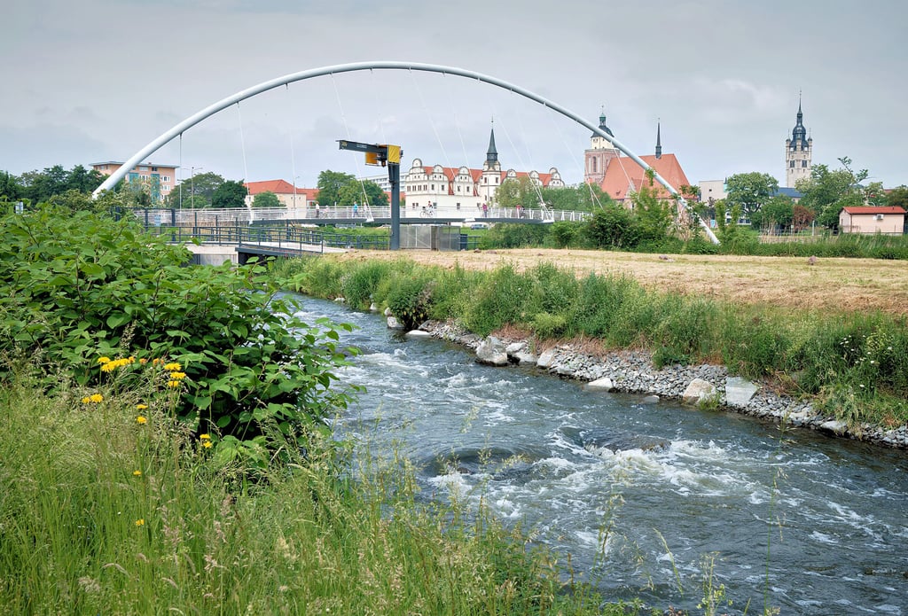 Zwischen Muldewehr und „Eierschneider“-Brücke wurde die Dessauer Fischtreppe errichtet.