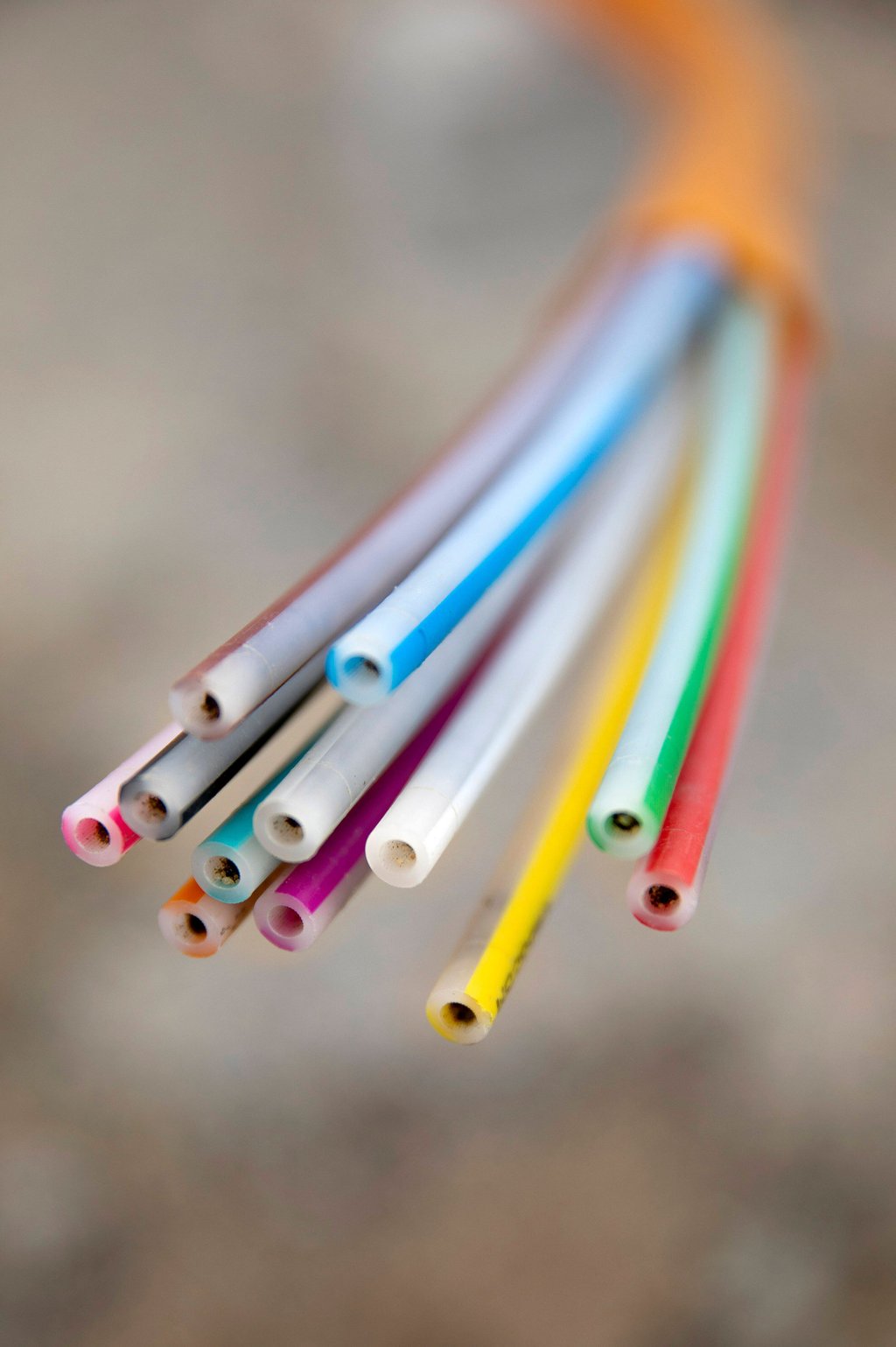 Schnelles Internet soll nach Schönebeck kommen - über das Wie streiten die Fraktionen