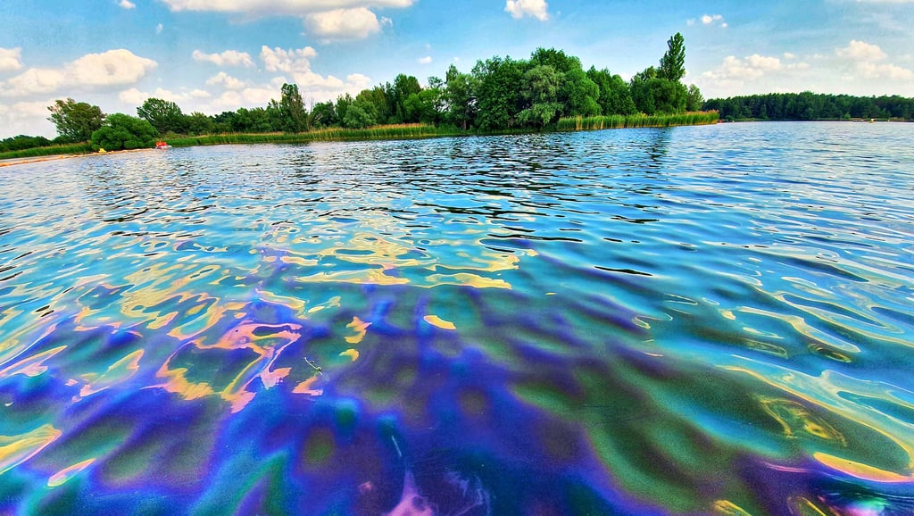 In allen möglichen Farben leuchteten Teile des Niegripper Sees – leider ein Zeichen für eine gefährliche Verschmutzung.