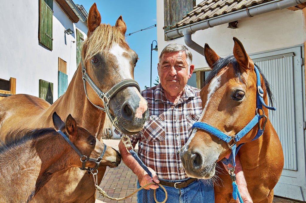 Martin Elze wird auch in diesem Jahr nicht das Ponyfest in Trebitz kommentieren können. Dafür organisiert der Verein wieder eine Ausfahrt.