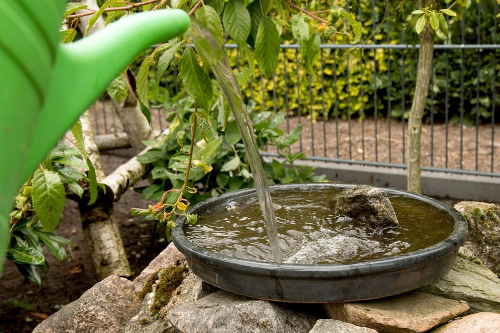 Eine flache Schale mit Wasser füllen und ein paar Steinchen oder Murmeln als Landeplatz hineinlegen - und fertig ist die Vogeltränke.