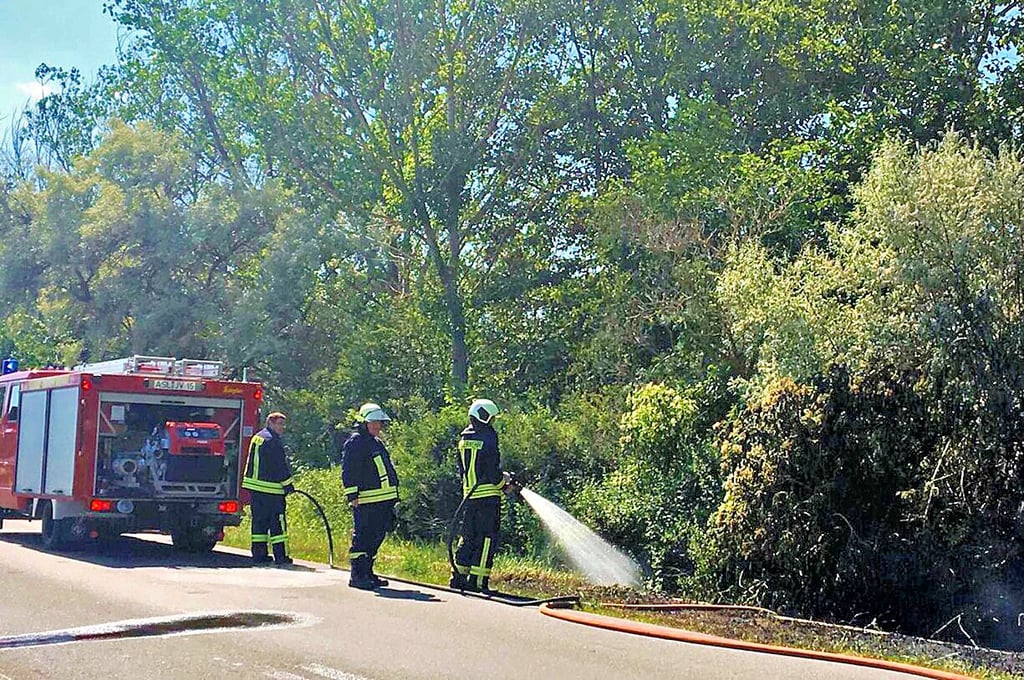 Die Feuerwehren löschten Äste und Bäume am Froser See.
