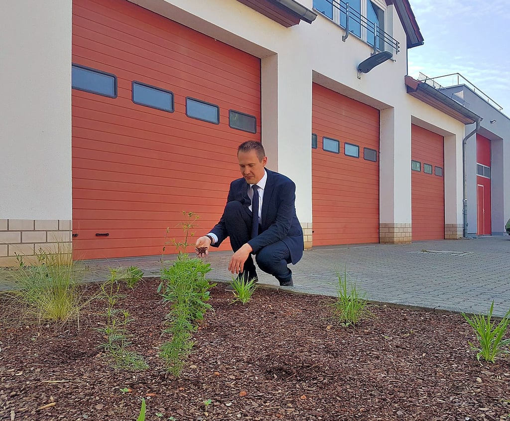 Fabian Stankewitz präsentiert die Probefläche für ein neues Pflanzkonzept in der Stadt Gröningen.