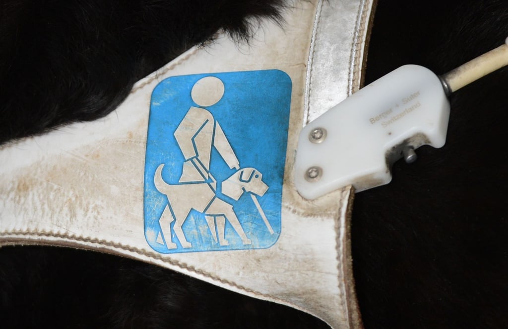 Ein Blindenhund-Logo am Geschirr eines Blindenhundes.