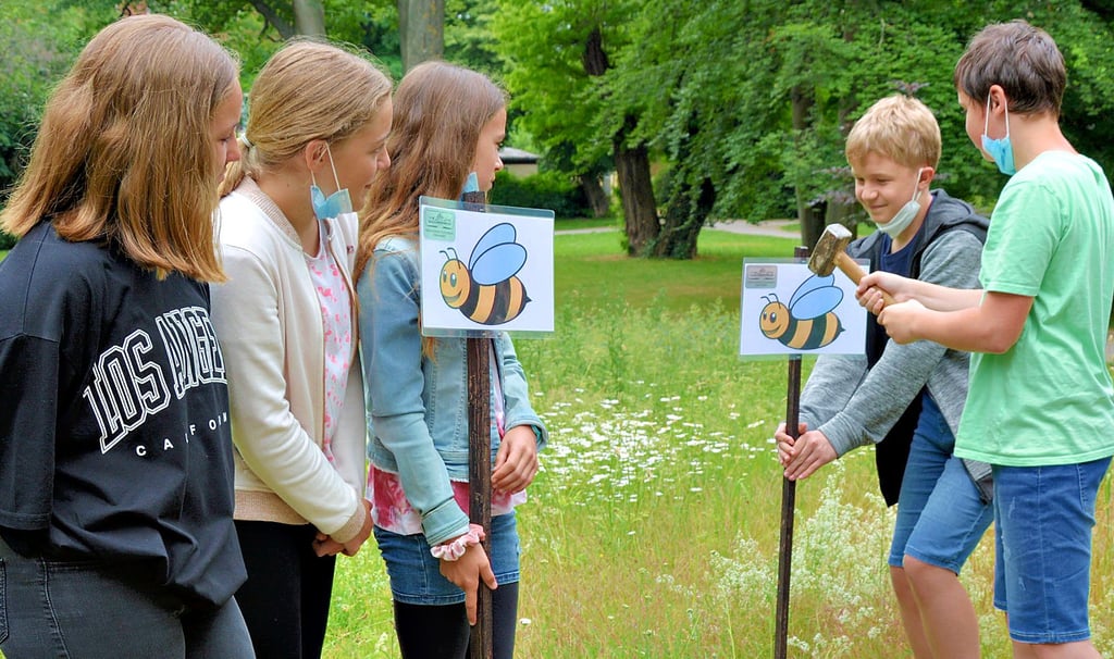 Diego und Jonas schlagen hier auf der Wiese in der Grünanlage Plantage den ersten Hummel-Pin in den Boden, beobachtet von Romy, Nicola und Mia (von links).