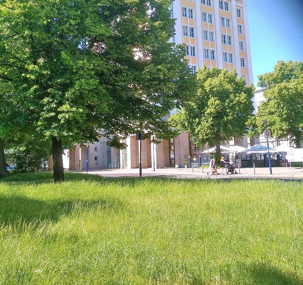 In der Stadtpolitik von Magdeburg wird über den Antrag diskutiert, auf 200 Quadratmetern die Unterkirche der Ulrichskirche auf dem Ulrichplatz archäologisch zu untersuchen.