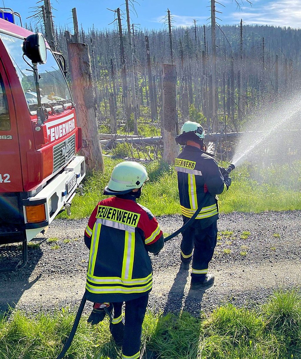 Die Schierker Feuerwehr bei einem simulierten Löschangriff im Nationalpark Harz. Die 1200 Liter des Fahrzeugs reichen nur wenige Minuten.