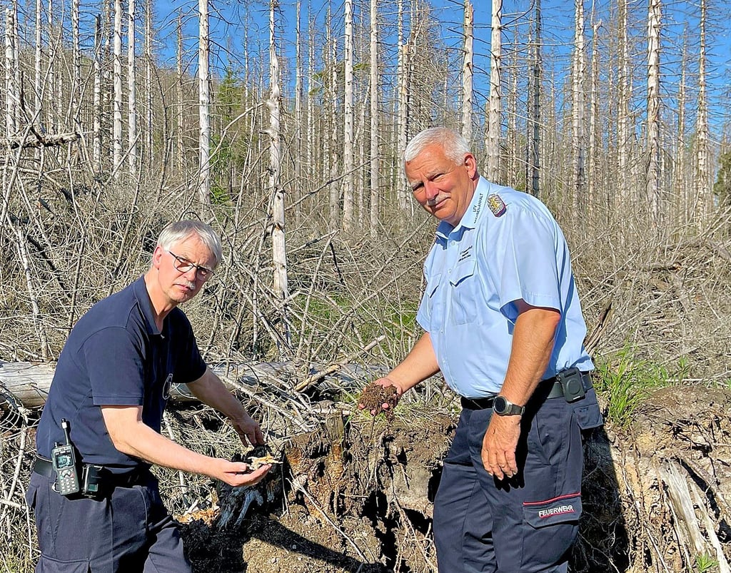 Die beiden Kreisbrandmeister Uwe Fricke aus Goslar im Westharz und Kreisbrandmeister Kai-Uwe Lohse vom Landkreis Harz  warnen: Das trockene Totholz brennt wie Zunder. 