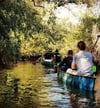 Die Fahrt nach dem Oscherslebener Sportplatz und einer Kleingartenanlage bietet Kanuten ein idyllisches Bild aus Feldern, Wiesen und Bäumen am Ufer.