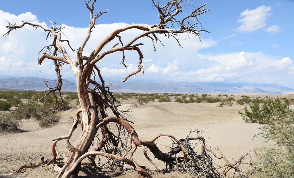 Nicht nur im Death Valley National Park (Kalifornien) ist es sehr, sehr heiß.
